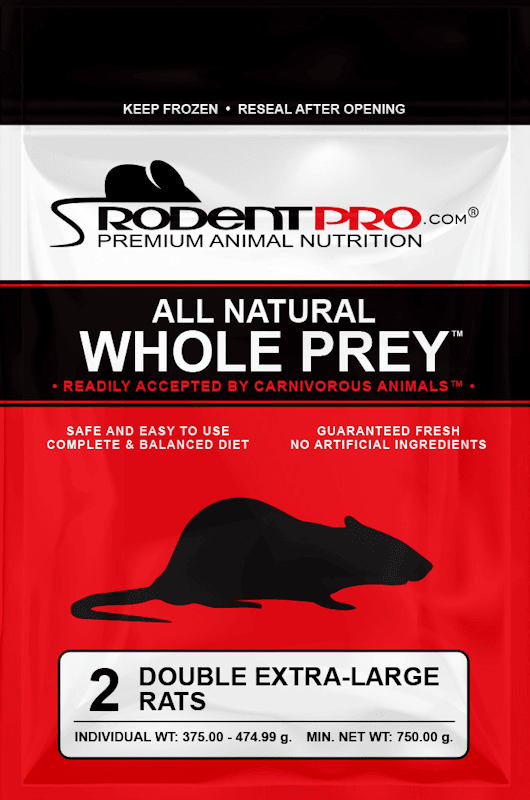 Frozen Double Extra-Large Rats 2ct for Sale: Shop RodentPro